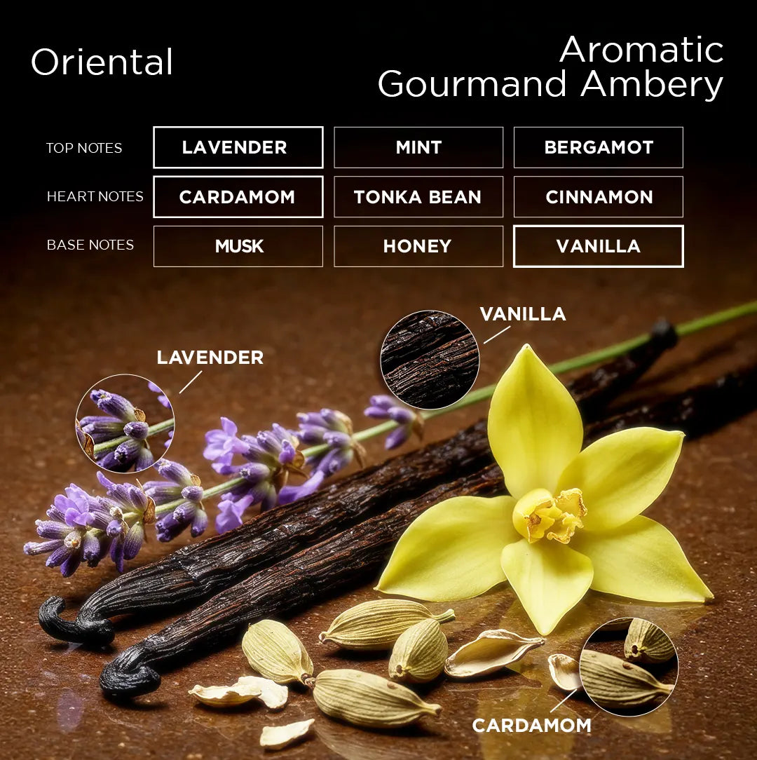 Vanilla beans, lavender flowers, and cardamom pods with notes on a dark background