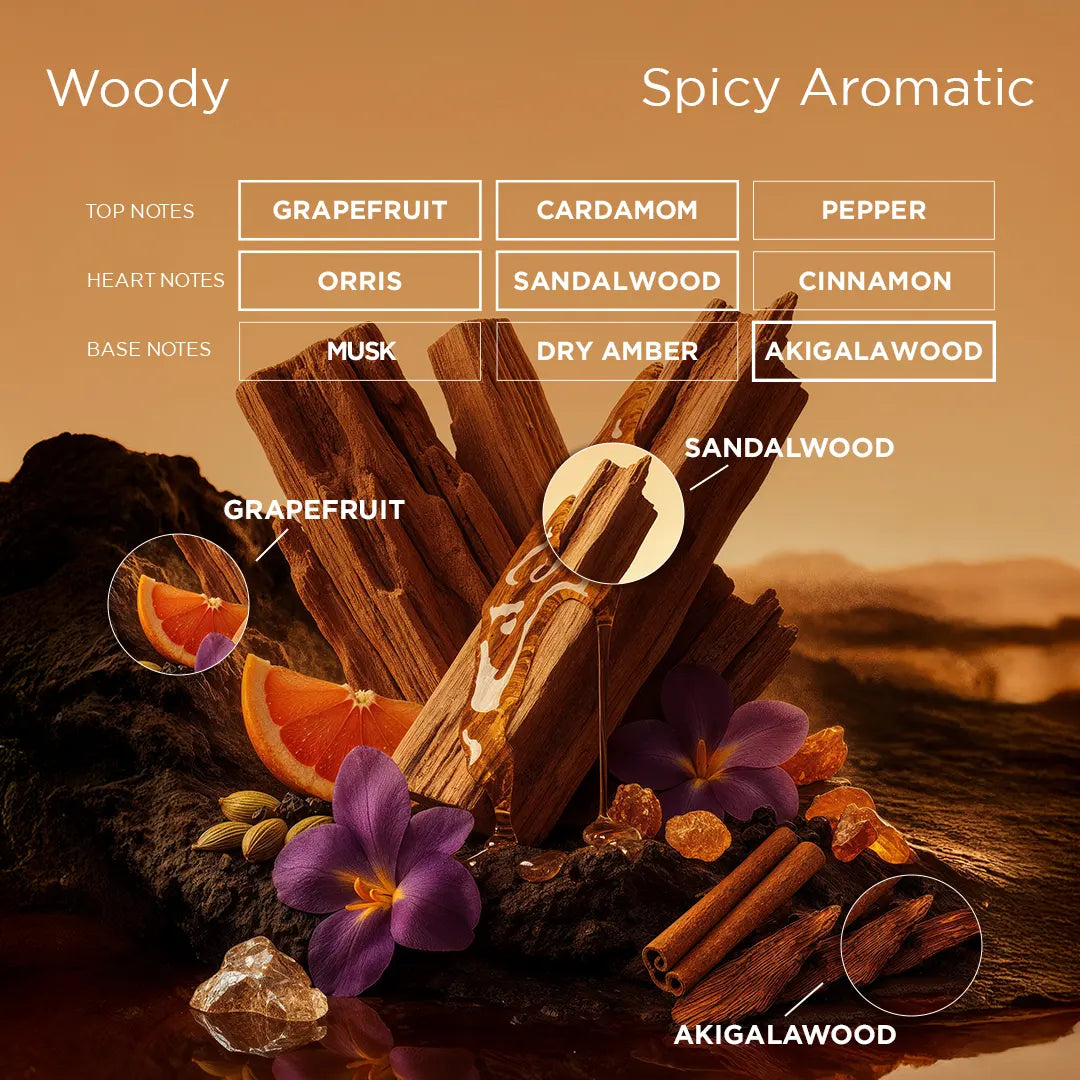 Illustration of spicy aromatic notes with sandalwood, cinnamon, and other elements on a warm background.