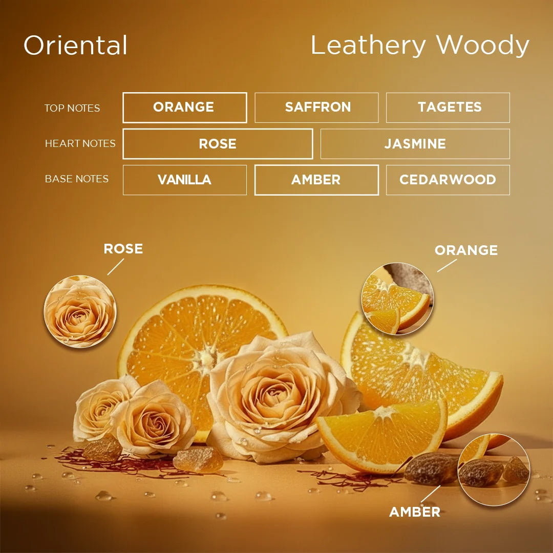 Diagram of oriental and leathery woody fragrance notes with orange, rose, and amber elements on a warm background.