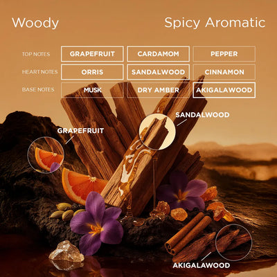 Illustration of spicy aromatic notes with sandalwood, cinnamon, and other elements on a warm background.